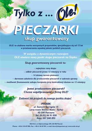 Skup pieczarek